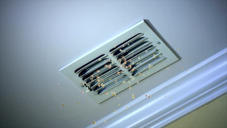 Best Dryer Vent Cleaning Services  in Union City, NJ